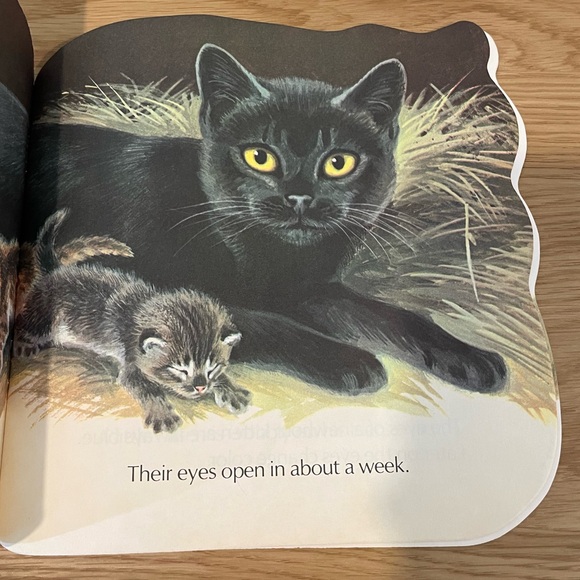 Vintage! The Kitten Book A Golden Shape Book By Jan Pfloog 1971 Paperback Book - Picture 7 of 7